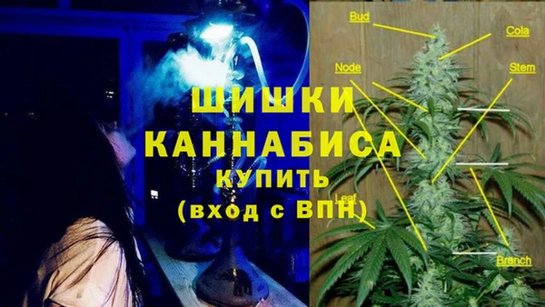прущие крисы Приозерск