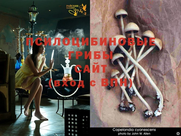 скорость Пролетарск